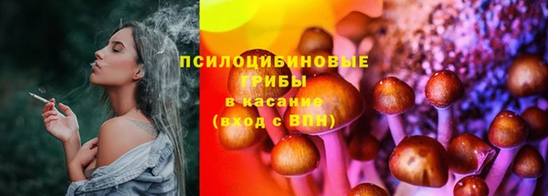 PSILOCYBIN Абдулино