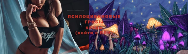эйфоретик Корсаков