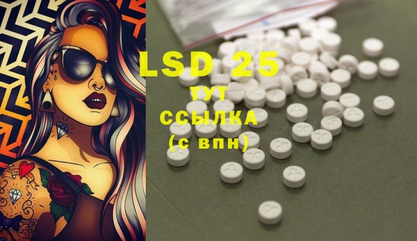 PSILOCYBIN Абдулино